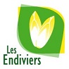 Les endiviers